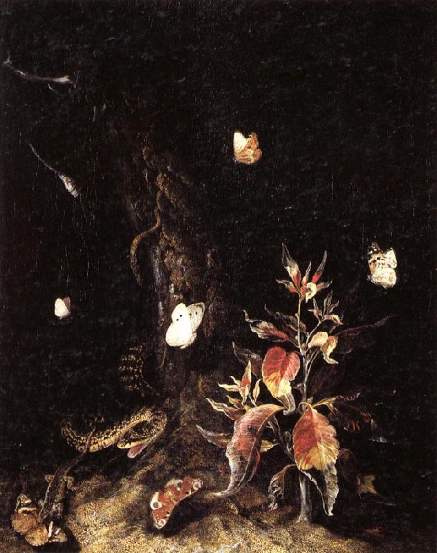 SCHRIECK, Otto Marseus van Reptiles,Butterflies,and Plants at the Base of a Tree Germany oil painting art